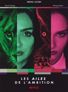 Les Ailes de l'ambition streaming