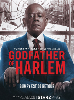 Godfather of Harlem saison 1