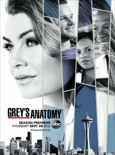 Grey's Anatomy saison 14