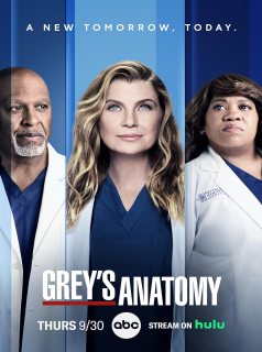 Grey's Anatomy saison 4