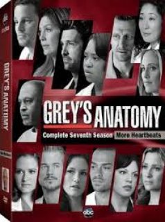 Grey's Anatomy saison 7