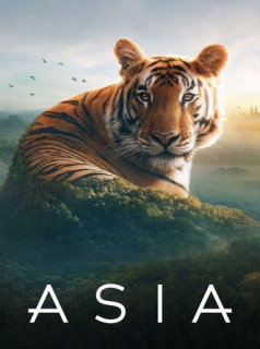 L'Asie (2024) streaming L'Asie (2024) streaming