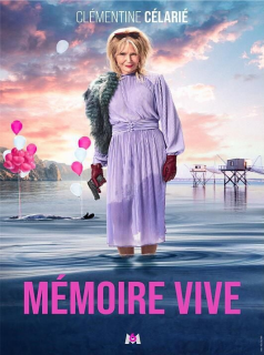 Mémoire vive streaming Mémoire vive streaming