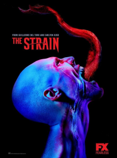The Strain streaming The Strain streaming