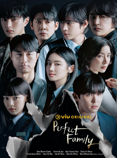 Perfect Family streaming Perfect Family streaming