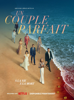 Un couple parfait streaming Un couple parfait streaming