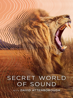 Secret World of Sound with David Attenborough streaming Secret World of Sound with David Attenborough streaming