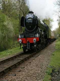 Secrets of Flying Scotsman streaming