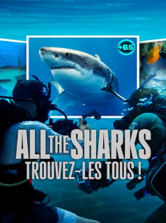 All the Sharks : Trouvez-les tous ! streaming All the Sharks : Trouvez-les tous ! streaming