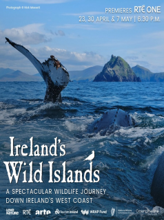 Ireland's Wild Islands streaming Ireland's Wild Islands streaming
