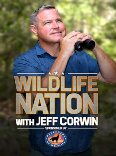 Wildlife Nation with Jeff Corwin streaming Wildlife Nation with Jeff Corwin streaming