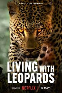Avec les léopards