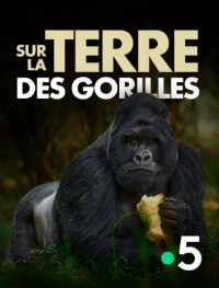 Sur la terre des gorilles