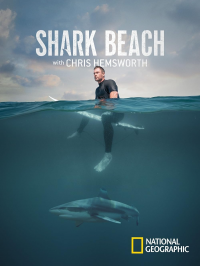 Beach Shark
