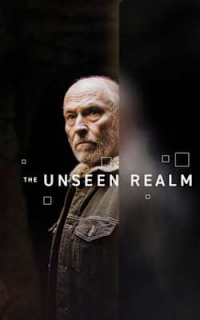 The Unseen Realm
