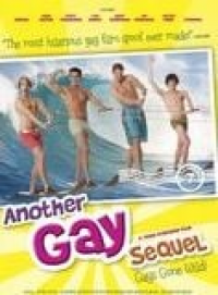 Another Gay Sequel: Gays Gone Wild!