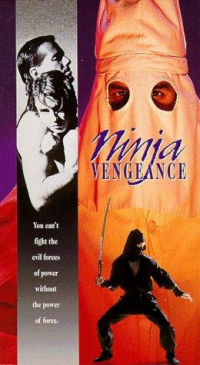 Ninja Vengeance