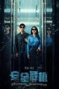 The Secret Path (2025)