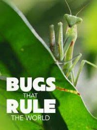Bugs That Rule the World